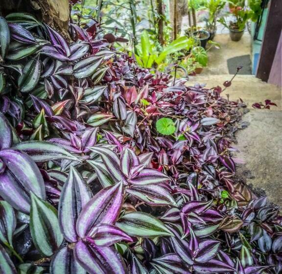 Chambre Standard Vue Montagne, Water Side Residence