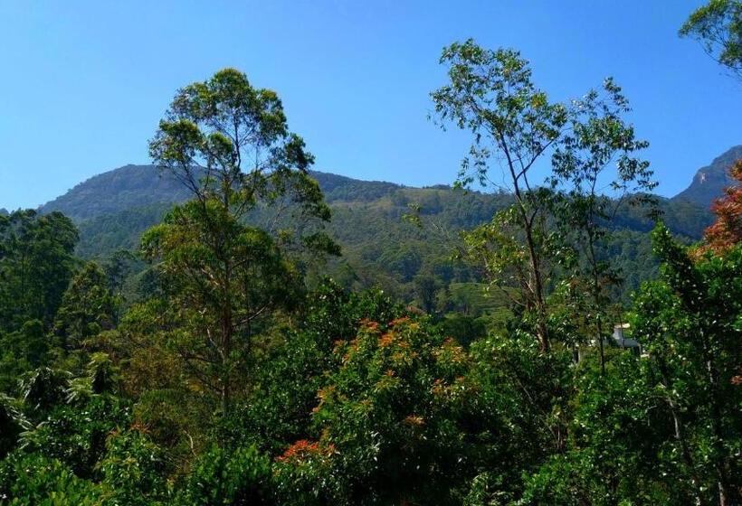 Chambre Standard Vue Montagne, Water Side Residence