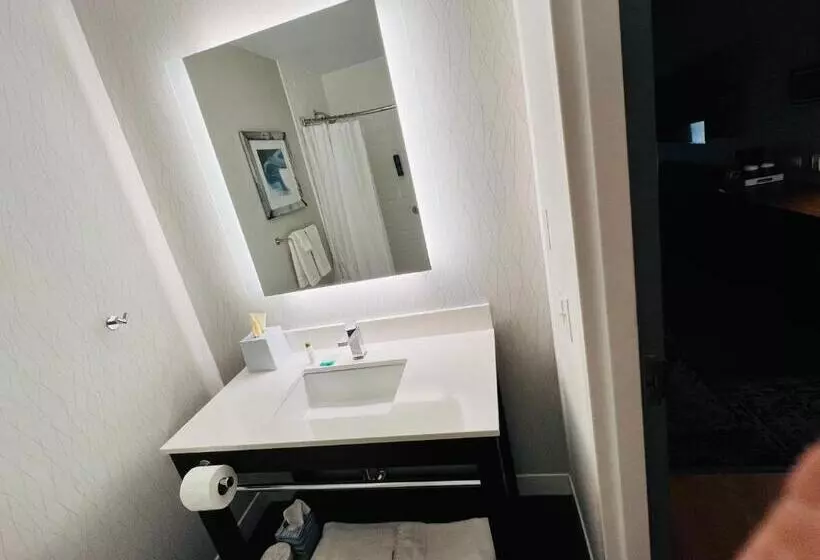 ２ダブルベッドのスタンダードルーム, Radisson Hotel Fairview Heights   St Louis