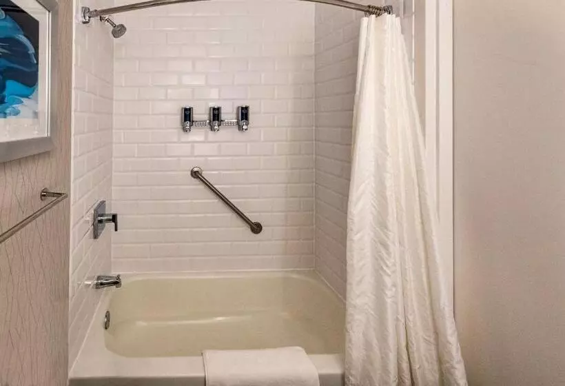 キングサイドベッドのスタンダードワンルーム, Radisson Hotel Fairview Heights   St Louis