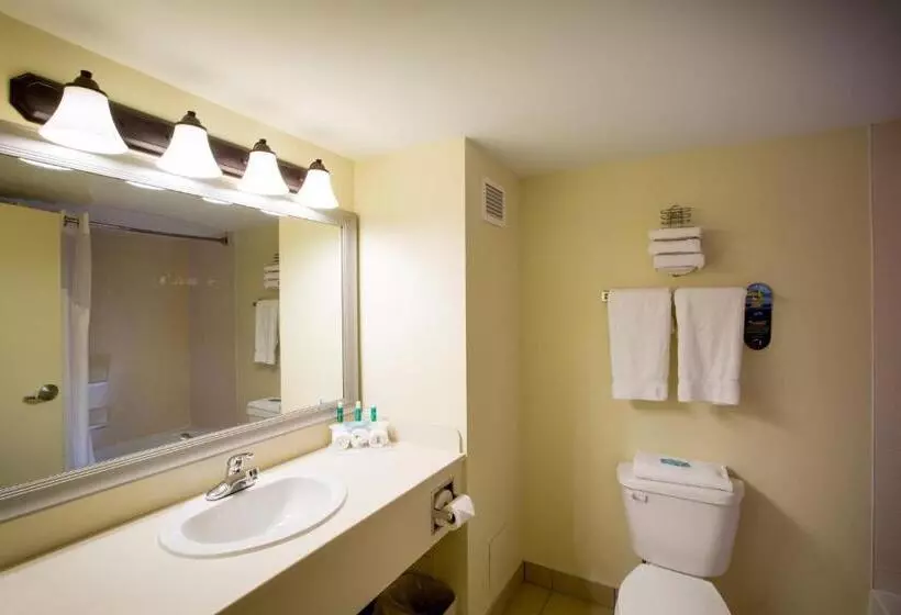 Standard-huone, Holiday Inn Express Stellarton New Glasgow, An Ihg