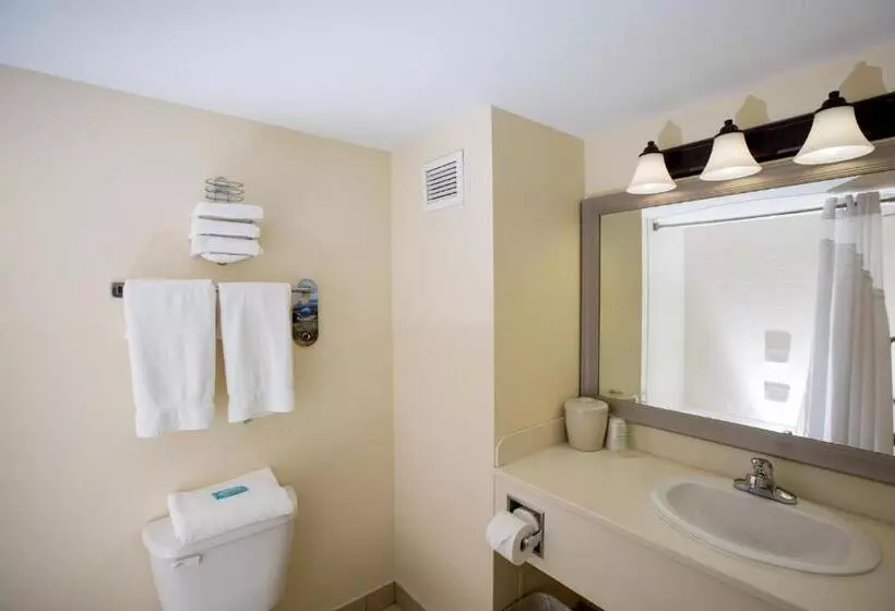 Standard-huone, Holiday Inn Express Stellarton New Glasgow, An Ihg