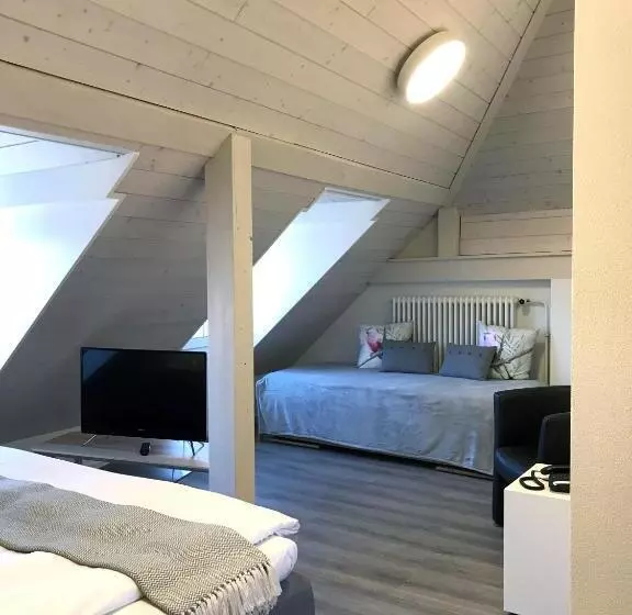 スタンダードトリプルルーム, Hôtel De L Ecluse