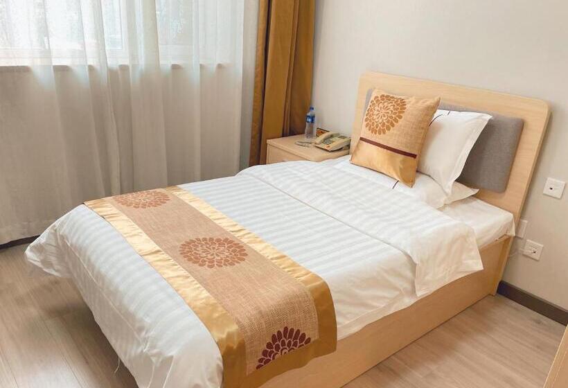 Rahat Tek Kişilik Oda, King Parkview