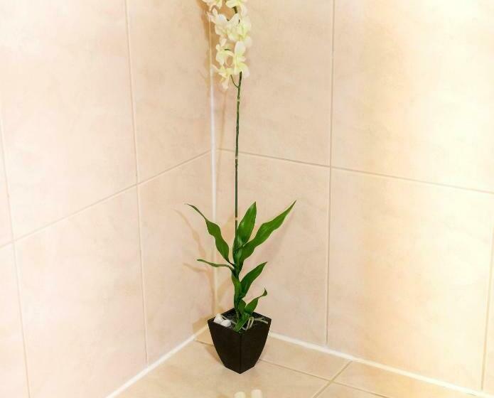 آپارتمان 1 خوابه با چشم‌انداز دریا, Aruba Surfside Marina