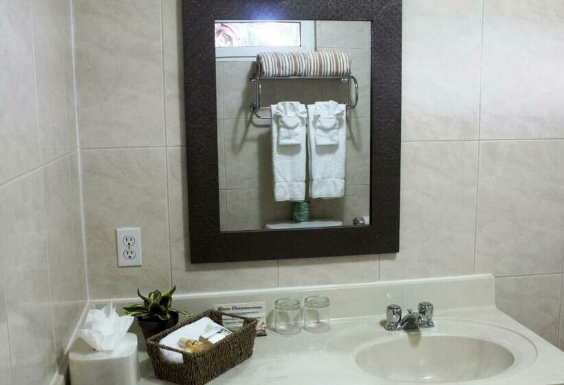 استودیوی استاندارد با چشم‌انداز دریا, Aruba Surfside Marina