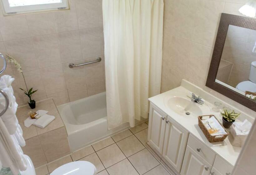 استودیوی استاندارد با چشم‌انداز دریا, Aruba Surfside Marina