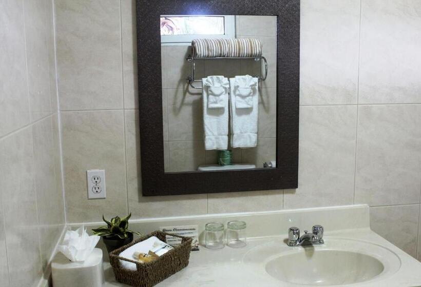 آپارتمان 1 خوابه با چشم‌انداز دریا, Aruba Surfside Marina