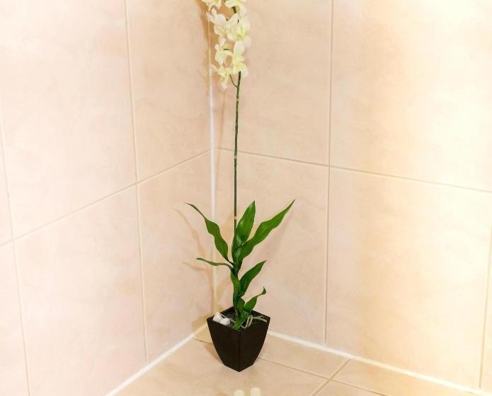 آپارتمان سوپریور 1 خوابه با چشم‌انداز دریا, Aruba Surfside Marina