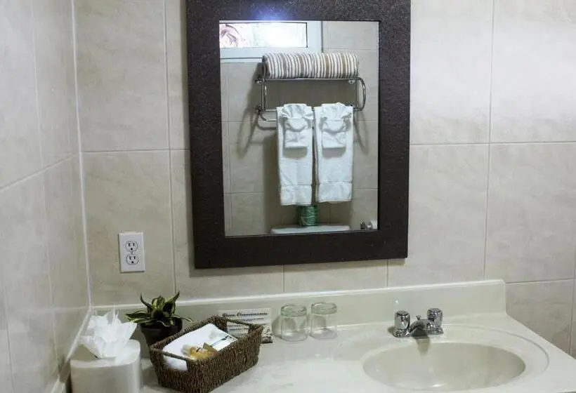 Superior-huoneisto 1 Makuuhuone Merinäkymä, Aruba Surfside Marina
