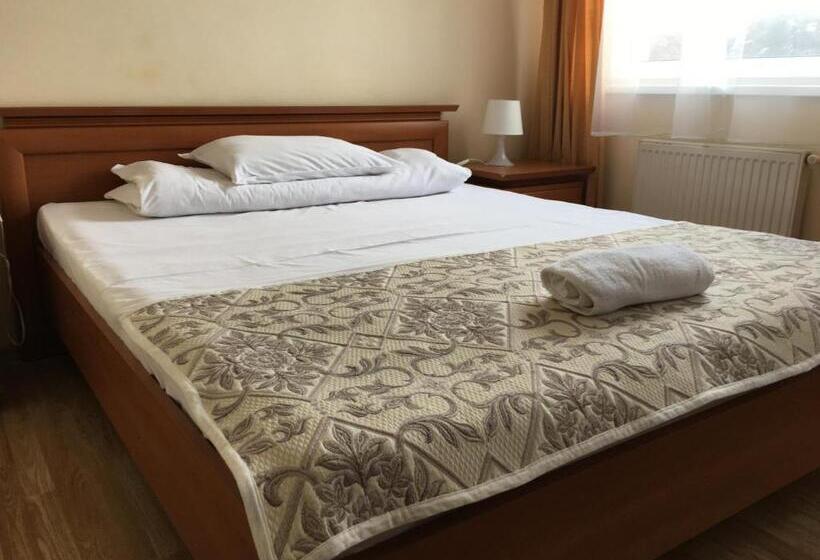 غرفة قياسية فردية, Ferihegy