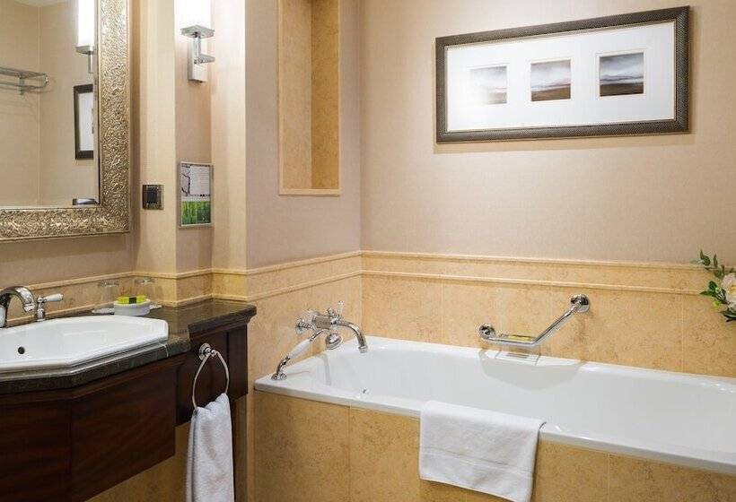 اتاق کلاسیک با تخت دوبل, Intercontinental   Kyiv, An Ihg