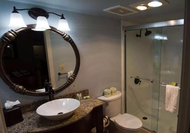بانگلوی استاندارد, Pousada E Spa Bromelias