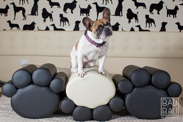 اتاق استاندارد, Principe