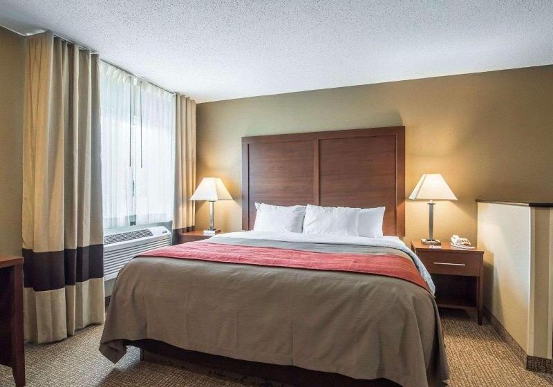 行政房间, Sheraton Guiyang