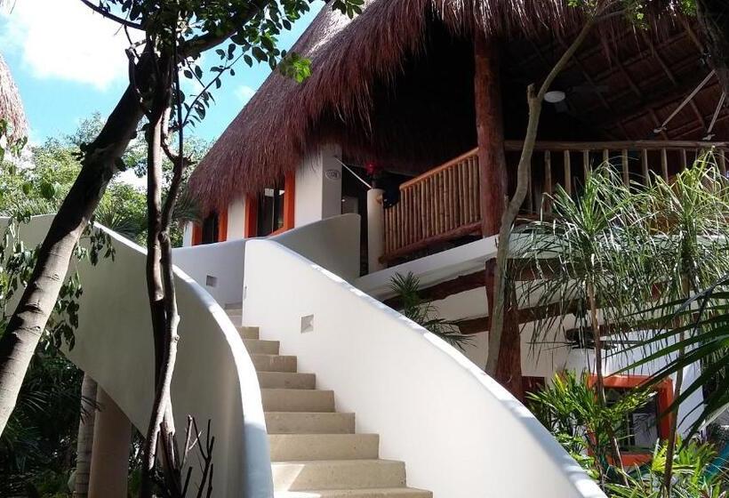 标准平房, Riviera Maya Suites