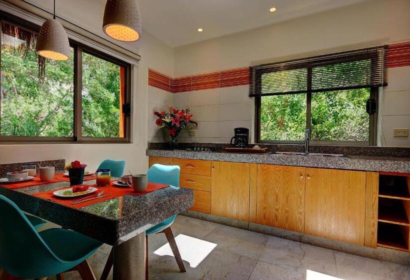 标准平房, Riviera Maya Suites