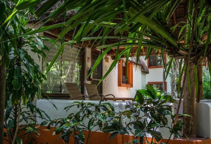 标准平房, Riviera Maya Suites