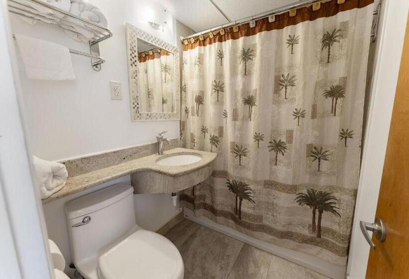 스탠다드 룸 킹사이즈 침대, Waikiki Oceanfront Inn