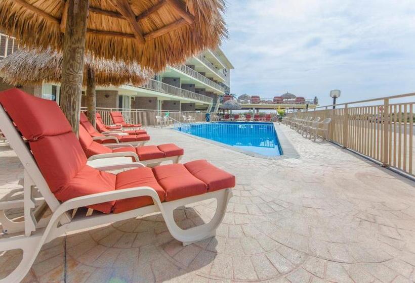 스탠다드 룸, Waikiki Oceanfront Inn