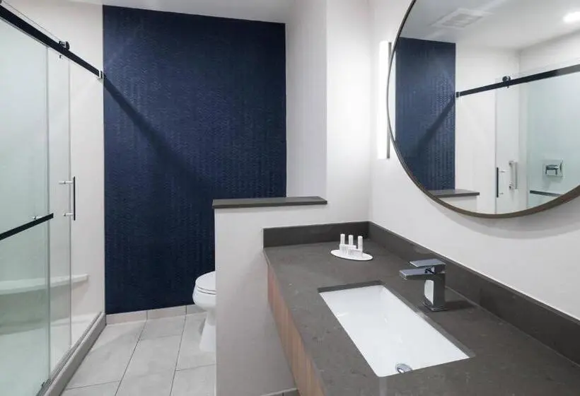 身障者適用キングサイズベッドルーム, Fairfield Inn & Suites By Marriott Savannah I95 North