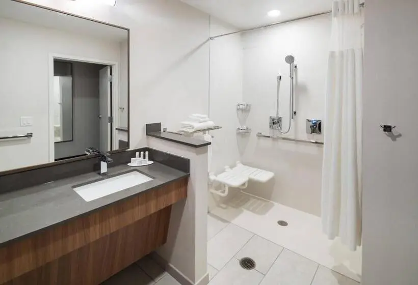 身障者適用キングサイズベッドルーム, Fairfield Inn & Suites By Marriott Savannah I95 North