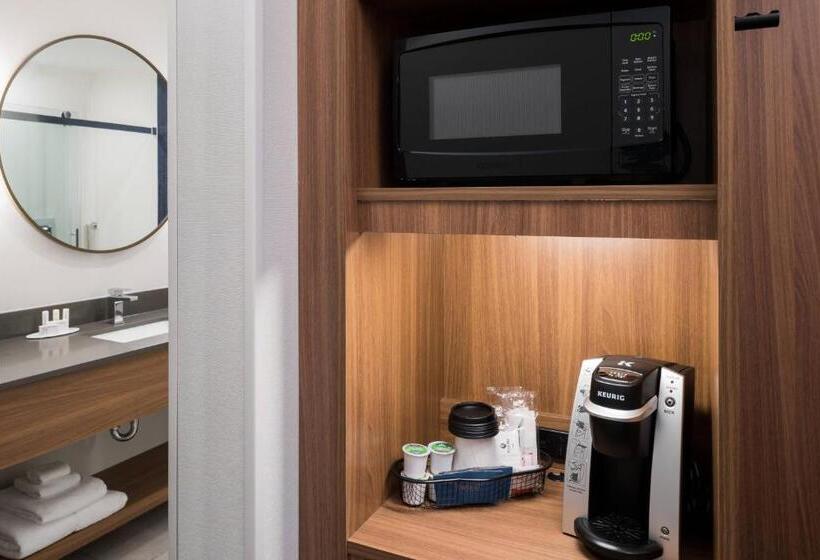 غرفة قياسية سرير كينج لذوى الإحتياجات الخاصة, Fairfield Inn & Suites By Marriott Savannah I95 North