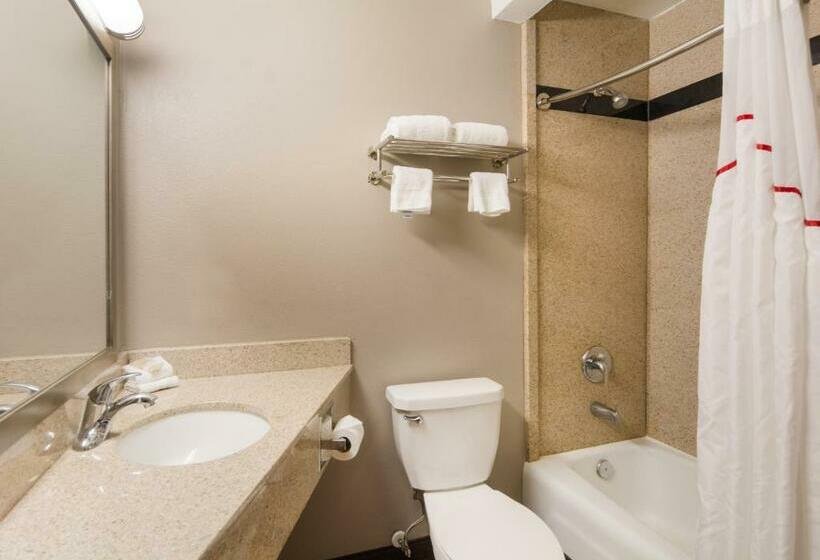 스탠다드 룸 킹사이즈 침대, Red Roof Inn Chester