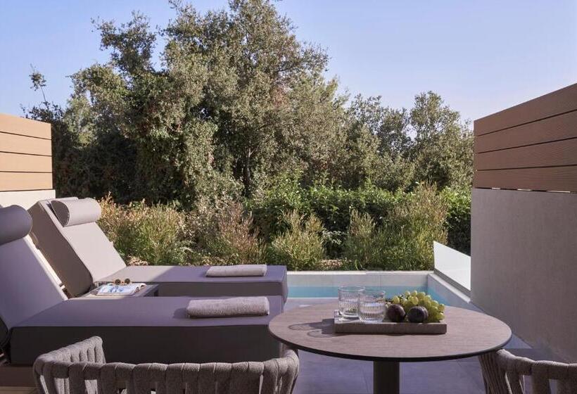 سوئیت جونیور با چشم‌انداز, Celestial All Suites