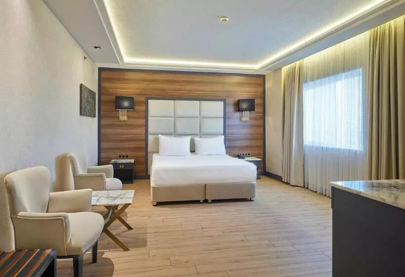 اتاق سوپریور با تخت بزرگ, Dedeman Sanliurfa