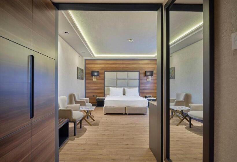 اتاق استاندارد, Dedeman Sanliurfa