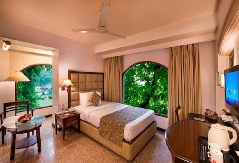 اتاق استاندارد یک نفره, Lords Inn Vadodara