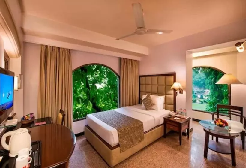 اتاق استاندارد یک نفره, Lords Inn Vadodara