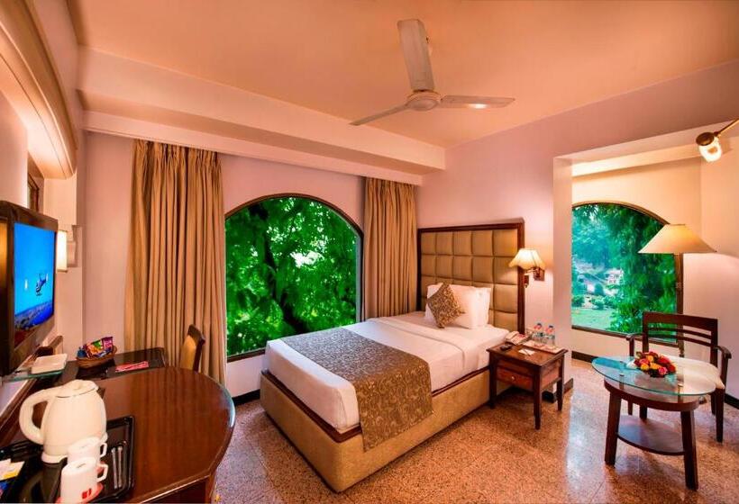 اتاق استاندارد یک نفره, Lords Inn Vadodara