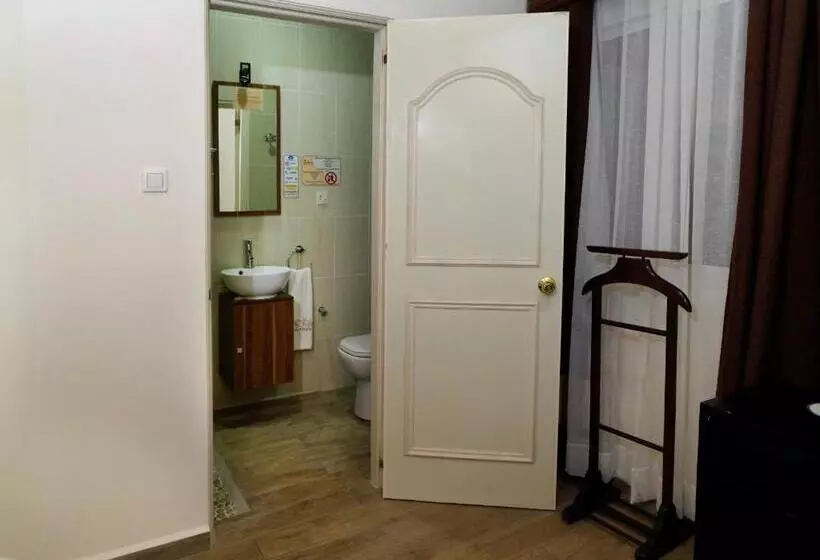 Chambre Economy, Zomatel