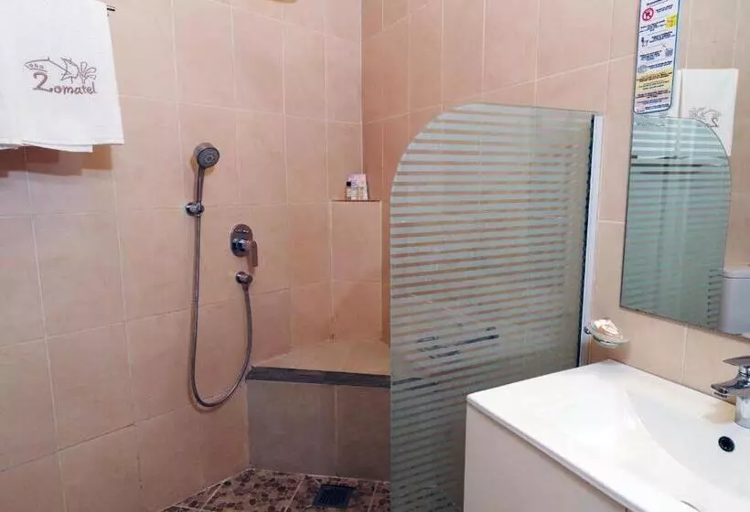 Chambre Standard, Zomatel