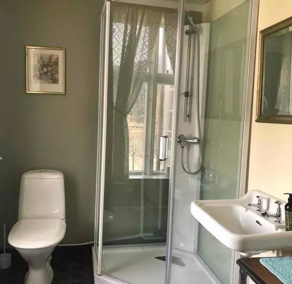 اتاق عادی, Visnes Hotel Stryn