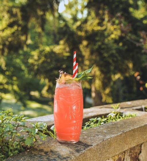 اتاق لوکس با بالکن, Vila Savka