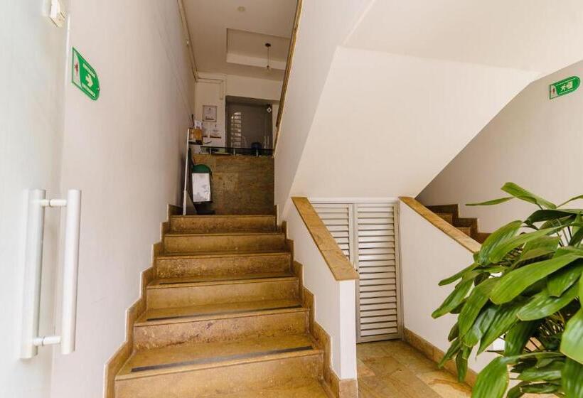 标准间, Oscar Tradición