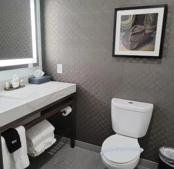 スタンダードルーム, La Quinta Inn & Suites By Wyndham Terrell
