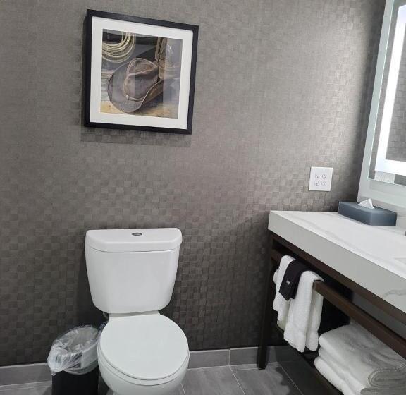 Стандартный Номер Кровать Кинг, La Quinta Inn & Suites By Wyndham Terrell