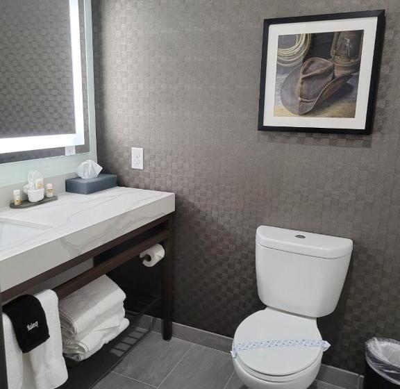 Номер Executive Кровать Кинг, La Quinta Inn & Suites By Wyndham Terrell