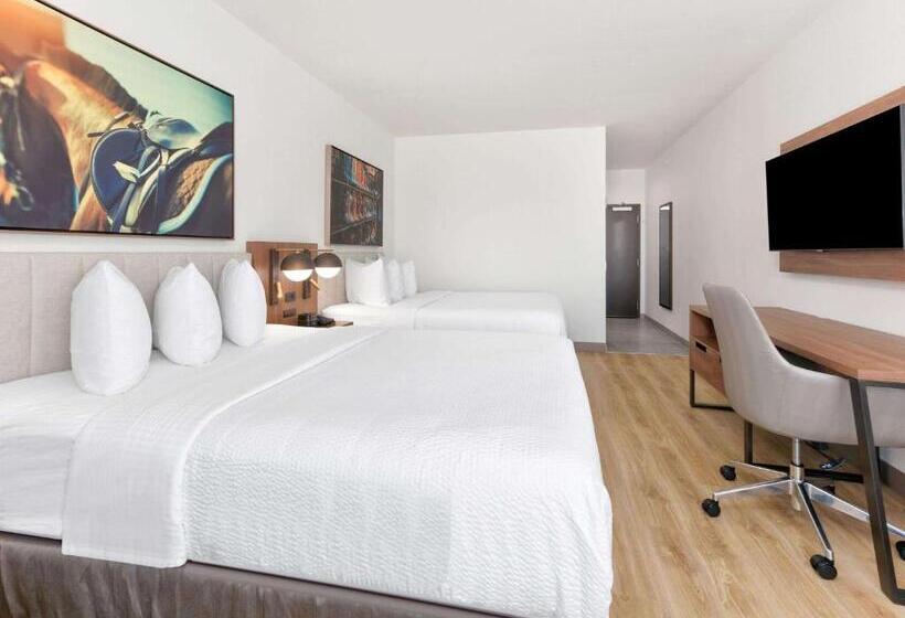 Номер Стандарт Кровать Кинг Адаптированный для Инвалидов, La Quinta Inn & Suites By Wyndham Terrell