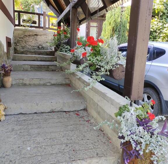 خانه 3 خوابه, анасоль