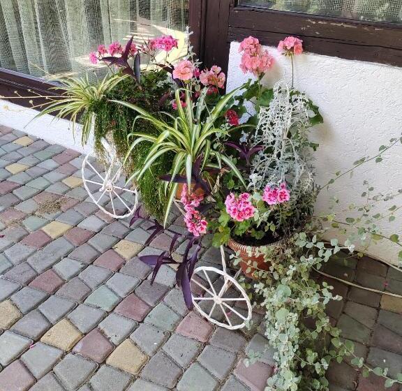 خانه 2 خوابه, анасоль