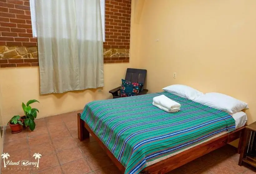 اتاق استاندارد, Yellow Belly Backpackers