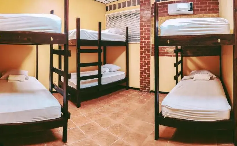 تختخواب در اتاق مشترک, Yellow Belly Backpackers