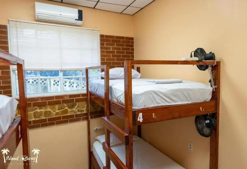 تختخواب در اتاق مشترک, Yellow Belly Backpackers