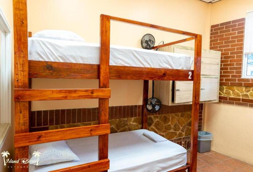 מיטה בחדר משותף, Yellow Belly Backpackers