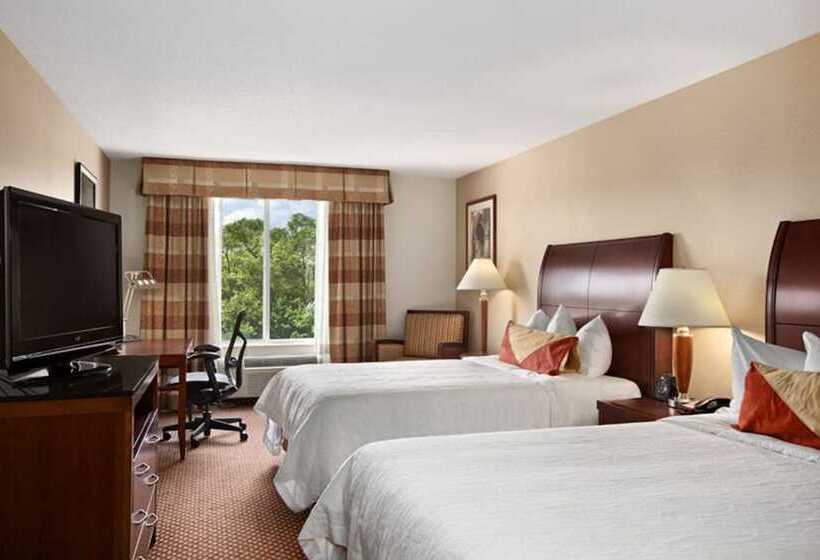 غرفه قياسيه سريرين مزدوجين, Hilton Garden Inn Chicago / Oak Brook